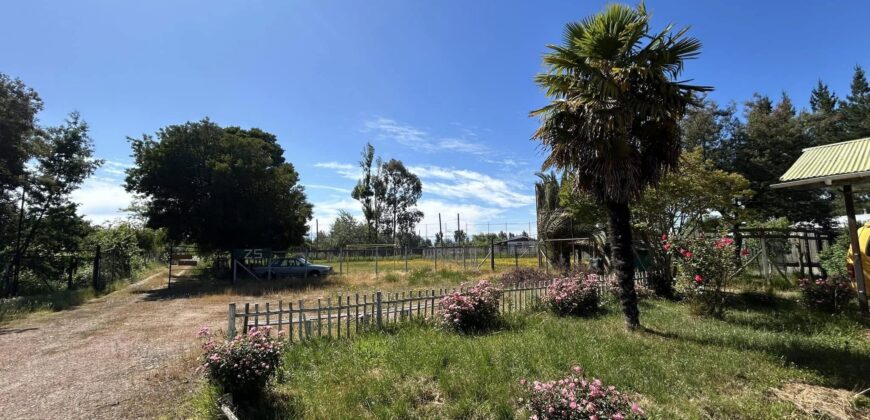 Colegio en Longavi