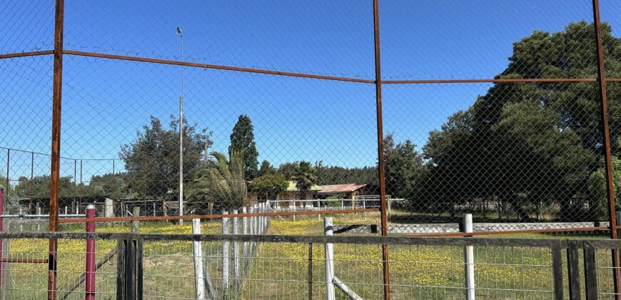 Colegio en Longavi