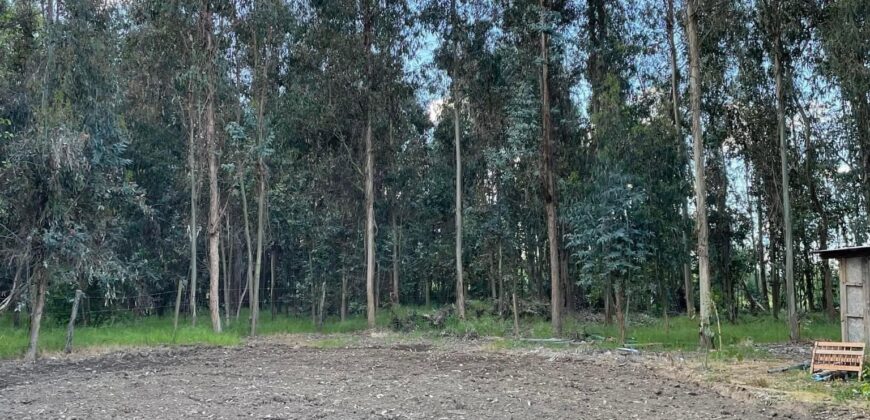 Casa de Campo