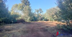 2,6 hectareas en Linares