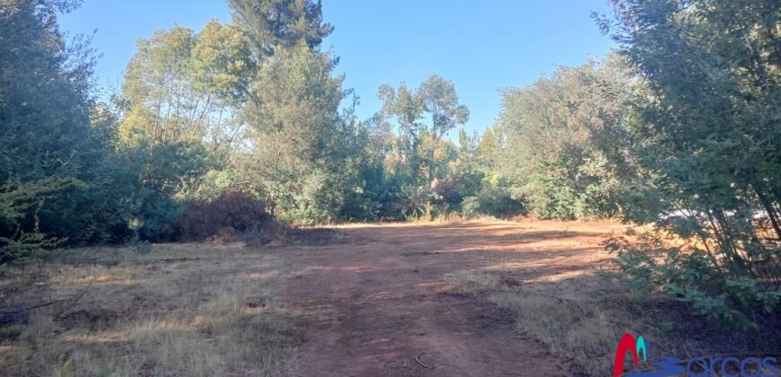 2,6 hectareas en Linares