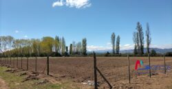 Parcela en Longavi