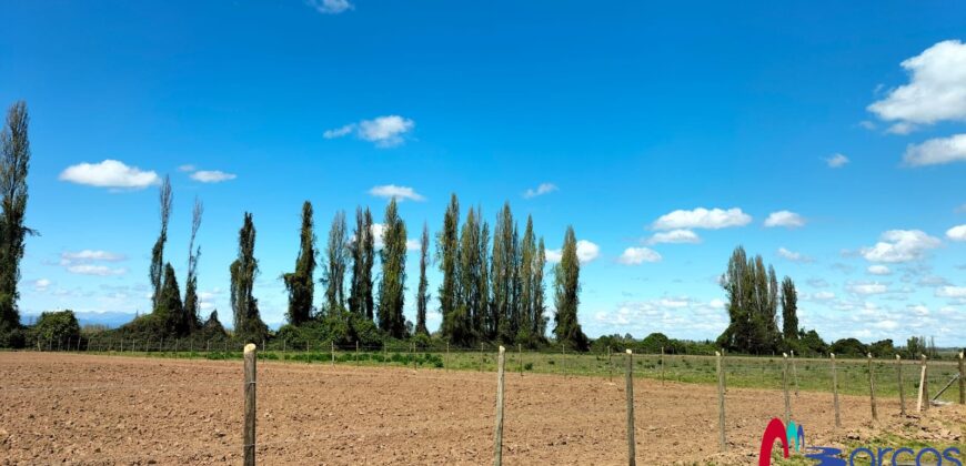 Parcela en Longavi