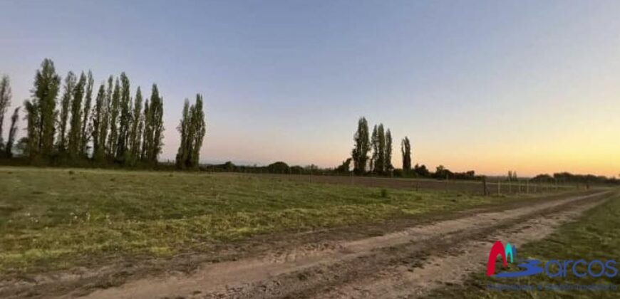 Parcela en Longavi