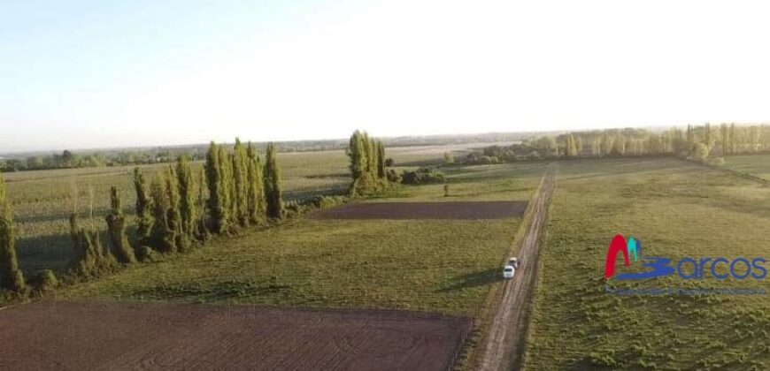 Parcela en Longavi