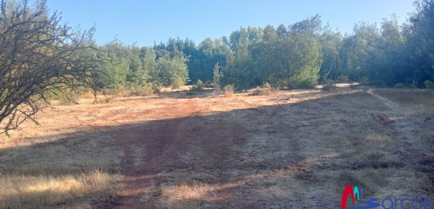 2,6 hectareas en Linares
