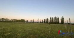 Parcela en Longavi