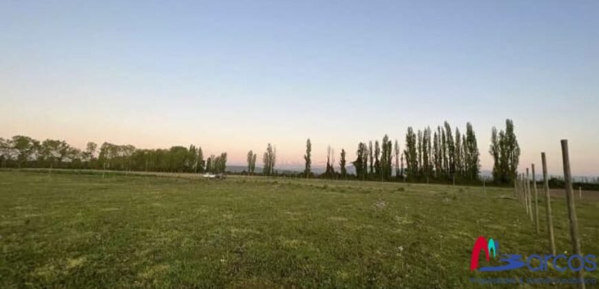 Parcela en Longavi