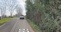 2,6 hectareas en Linares