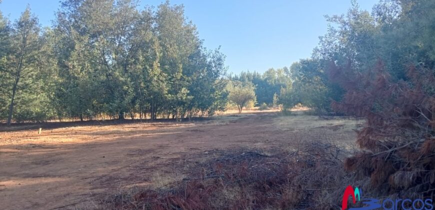 2,6 hectareas en Linares