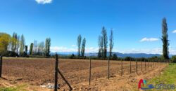 Parcela en Longavi