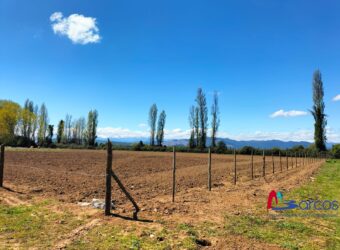 Parcela en Longavi