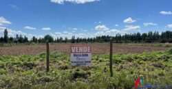 Parcelas de Media Hectárea