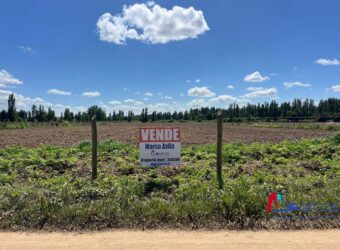 Parcelas de Media Hectárea