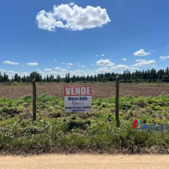 Parcelas de Media Hectárea