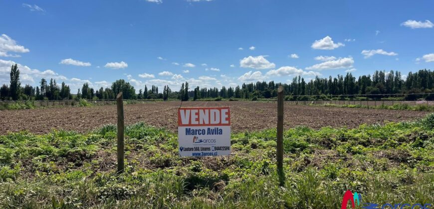 Parcelas de Media Hectárea