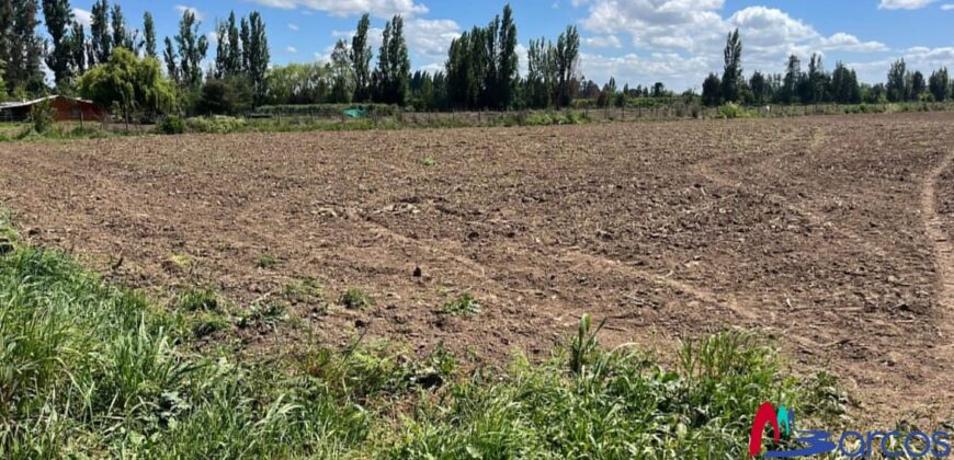 Parcelas de Media Hectárea