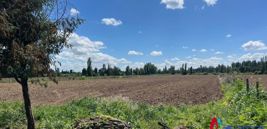 Parcelas de Media Hectárea