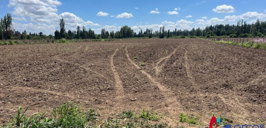 Parcelas de Media Hectárea