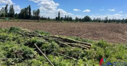 Parcelas de Media Hectárea