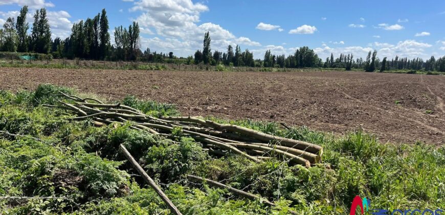 Parcelas de Media Hectárea